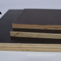 15mm 1250x2500 Ecalyptus core  with WBP phenolic glue film faced plywood anti-skid shuttering boards